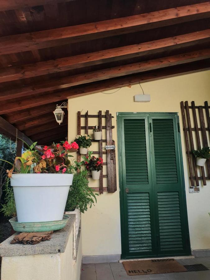 Andrea'S House Villa Fiumicino Bagian luar foto